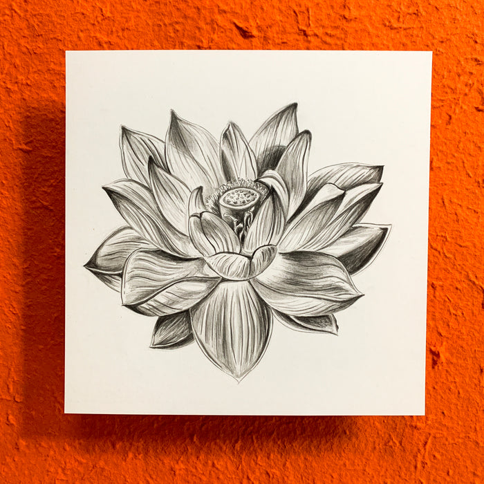 Lotus Graphite Original Drawing