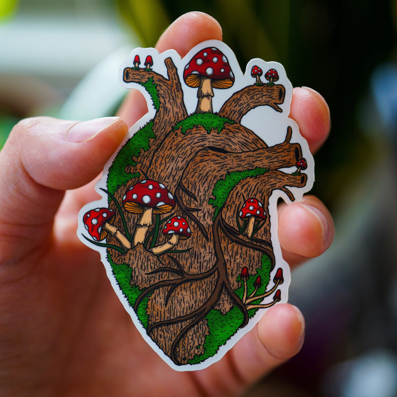 Anatomical Heart Series (Set of 4 Stickers)