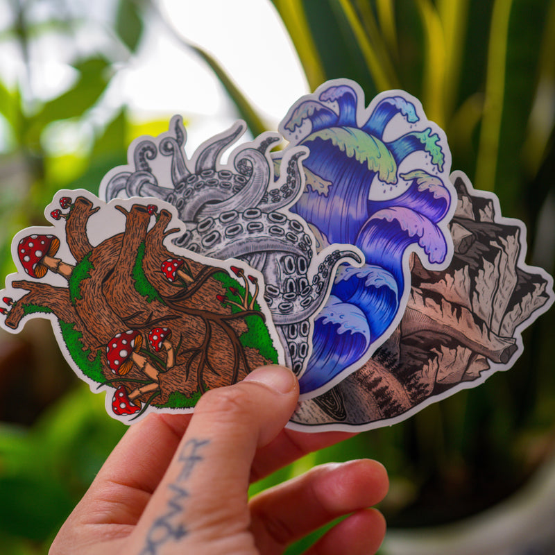 Anatomical Heart Series (Set of 4 Stickers)
